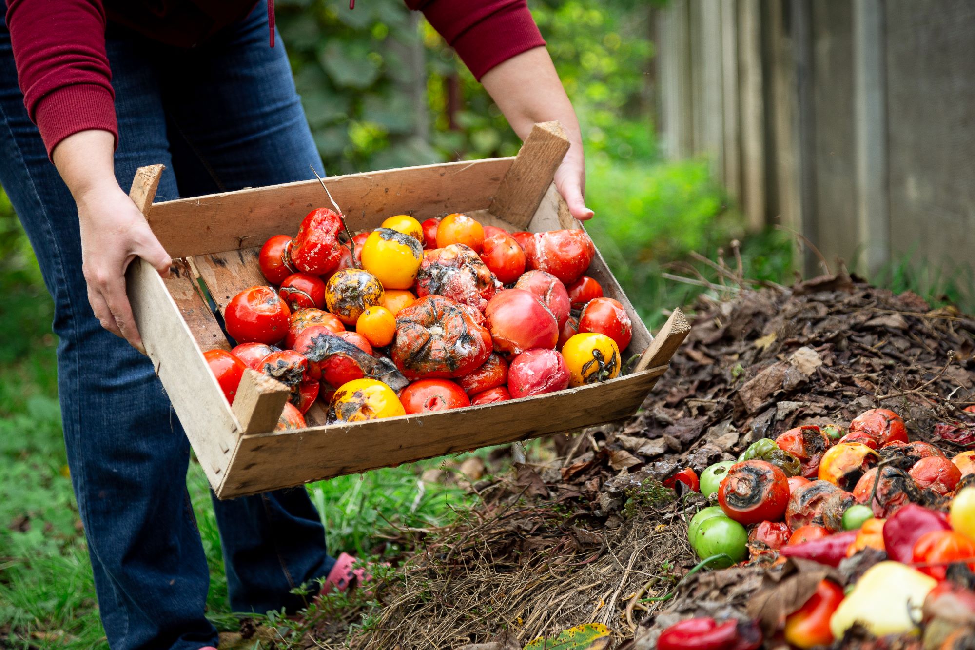 Faremo tutti il compost, anche in città