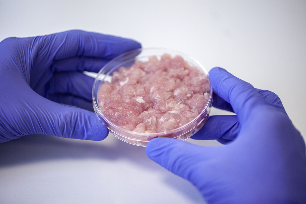 Carne coltivata